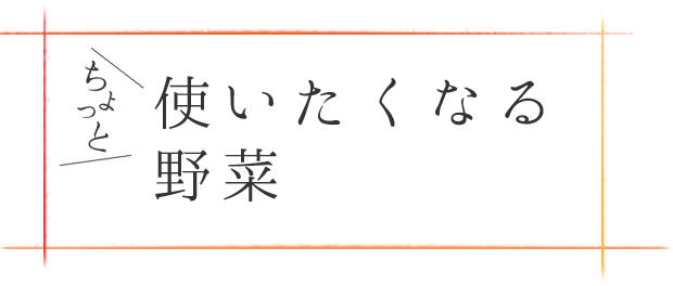 ちょっと使いたくなる野菜