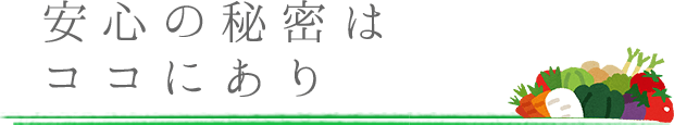 安心のヒミツはココにあり